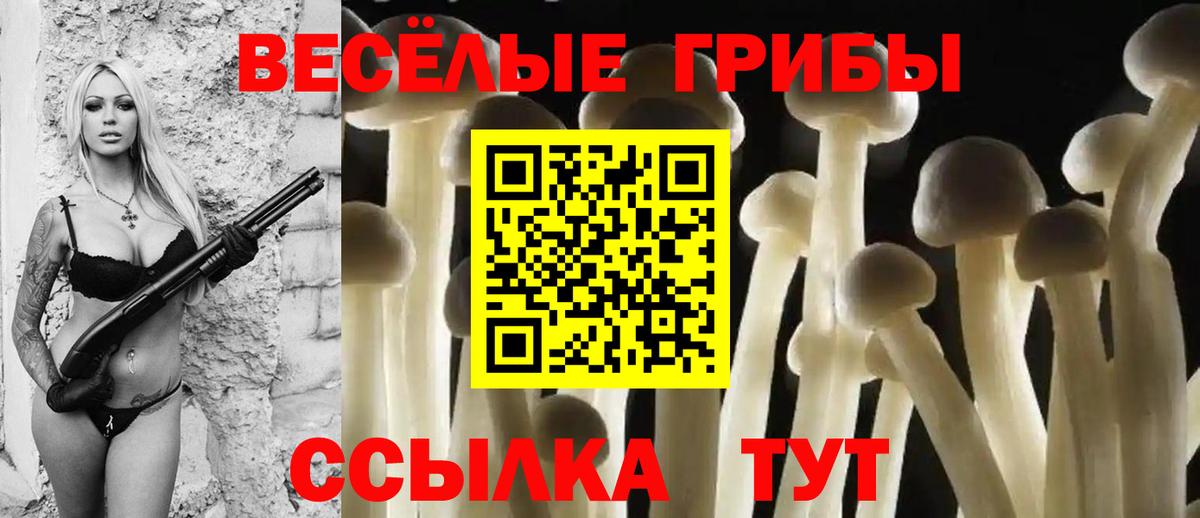 Псилоцибиновые грибы мицелий  Псилоцибиновые грибы Magic Shrooms  Новый Уренгой  Вход с VPN 