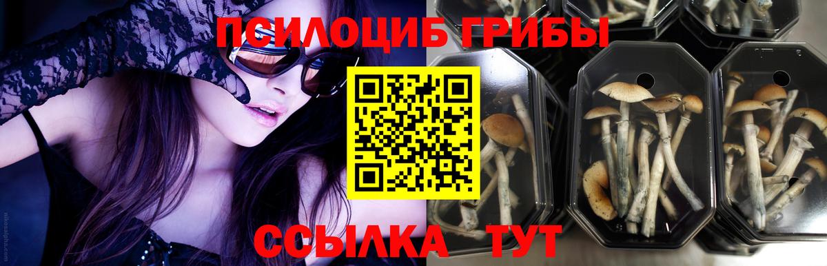 Псилоцибиновые грибы прущие грибы Новый Уренгой